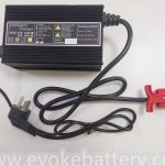 battery charger (2)
