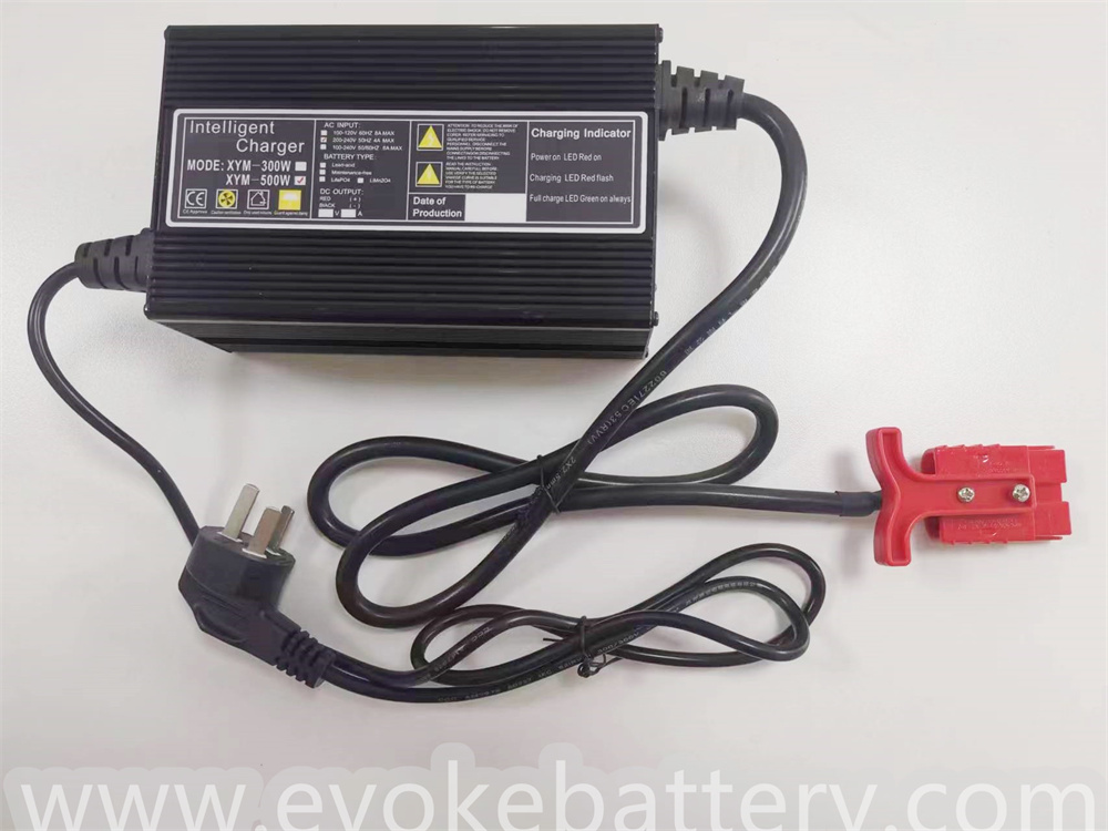battery charger (2)